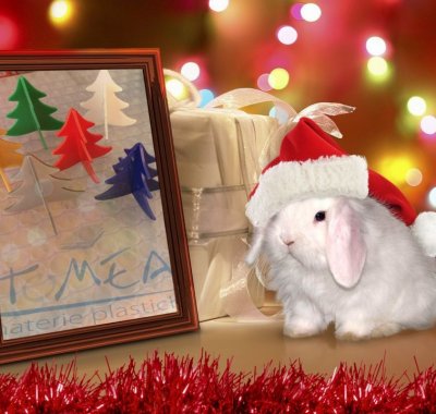Simpatiche idee regalo Natale
